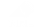 NRL logo